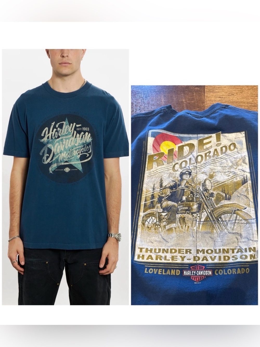 Harley-Davidson Thunder Mountain Colorado L